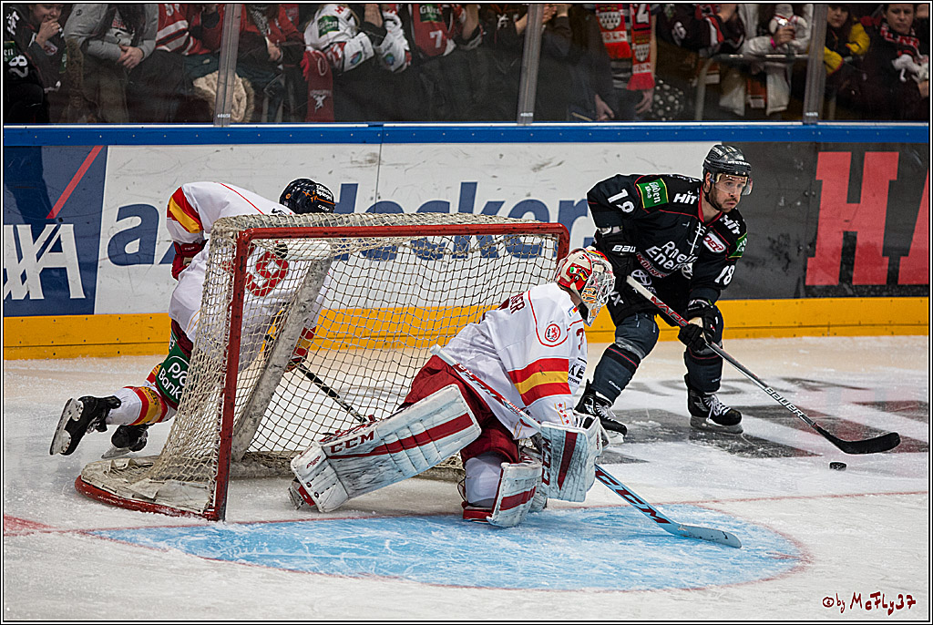 DEL, Koelner Haie - Duesseldorfer EG, 14.02.2017